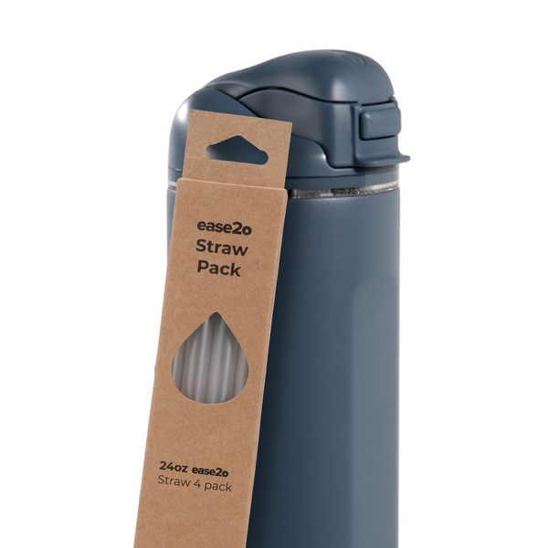 Ease2o Straws 4 Pack 24oz I7